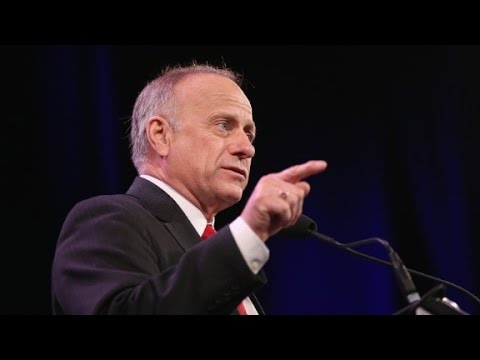 Rep. Steve King makes new provocative comments on race