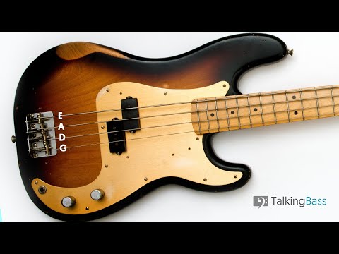 Ultimate Online Bass Guitar Tuner (4 Strings - E A D G Tuning)