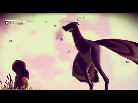 No Man's Sky | Ma première  vache