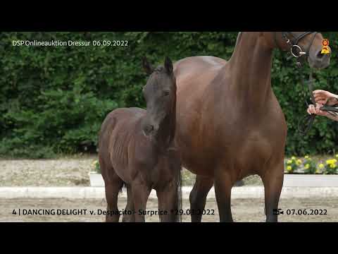 4 Despacito Surprice