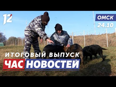 Готовят щенков к службе / Крысы захватили контейнерные площадки / Модная столица. Новости Омска