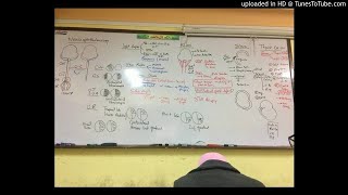 38) Dr. Wael Salah dry eye,neuro,sclera,ttt of IC