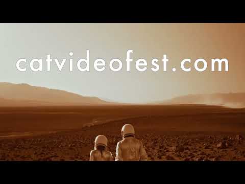 CatVideoFest 2023 - Official Trailer - Oscilloscope Laboratories HD