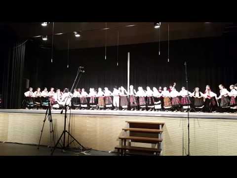 Vlaške igre iz Đerdapskog podunavlja - Srednji ansambl - Švajcarska smotra 2016 - KUD KOLO Baden