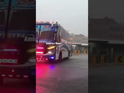 Hino ak Cepeda c5 Flota Bolívar 00-56 #viral #buses #ecuador #santodomingo
