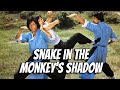 Wu Tang Collection Snake In The Monkey S Shadow Widescreen