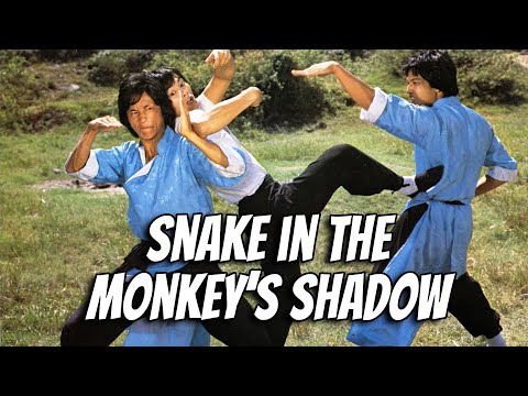 Wu Tang Collection – Snake In The Monkey Shadow