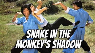 Wu Tang Collection - Snake in the Monkeys Shadow (