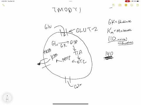 MODY (Maturity Onset Diabetes of the Young)