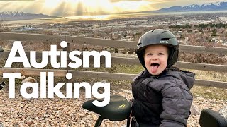 How I got My Autistic Child Talking