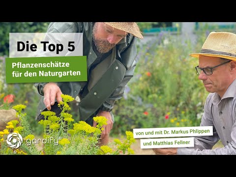 Die Top 5 - Pflanzenschätze für den Naturgarten mit Matthias Fellner, Insekten | gardify Tipps