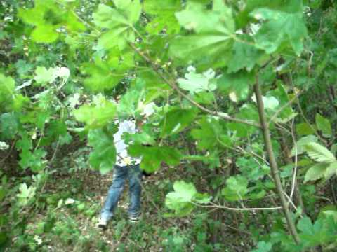 curatenie in tufeni olt 12