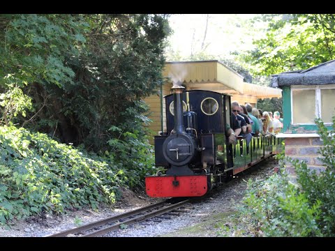 Peggy runs solo on the ‘south downs light railway’ in the late summer sun 16/09/2023