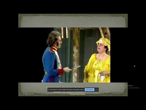 Chirița în provinție - rezumatul video (cu imagini sugestive)