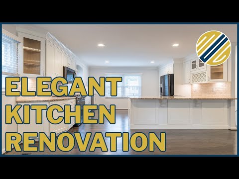 Hugo's Kitchen Renovation in Vienna, VA (timelapse)