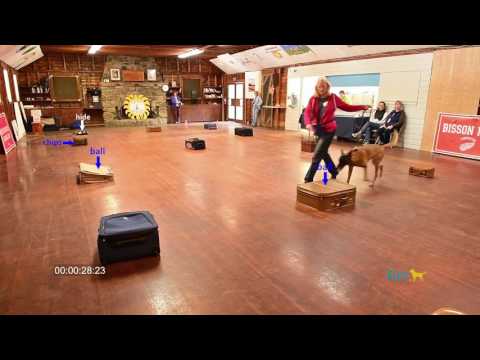 Saju Containers NW3 5/27/17