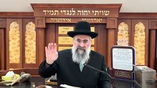 שהה בין התקיעות שהות גדולה האם יצא (הרב יצחק ישראלי) - התמונה מוצגת ישירות מתוך אתר האינטרנט יוטיוב. זכויות היוצרים בתמונה שייכות ליוצרה. קישור קרדיט למקור התוכן נמצא בתוך דף הסרטון