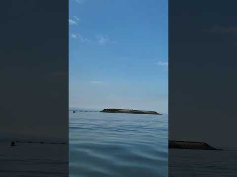 Swimming in Tanoura beach, Oita, 🇯🇵, Pacific #travel