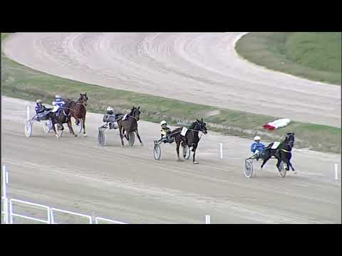 Napoli Trotto 30/12/2022 - 1ª prova di qualifica