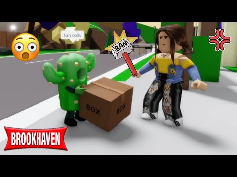 CACTUS BURGLAR GETS BANNED FROM A RANDOM SERVER! BROOKHAVEN RP- ROBLOX