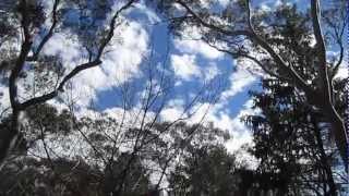 Sights & Sounds: Flying Fox Helihike, Fox Glacier