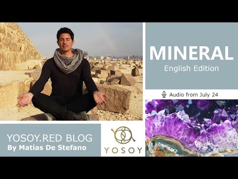 Day 355 - MINERAL - Matías De Stefano - YOSOY.RED BLOG: Plexus -Physical- Cancer, Read by Carey 7/24