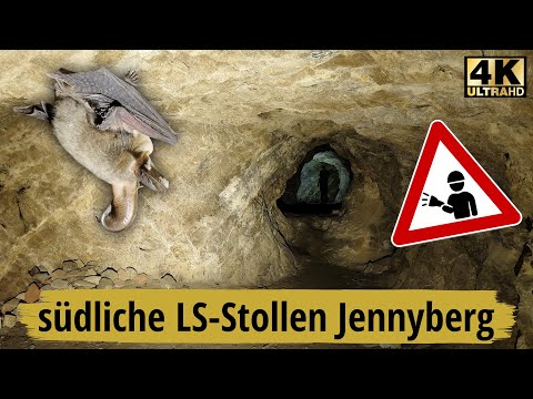 WK2: südliche Luftschutzstollen am Jennyberg