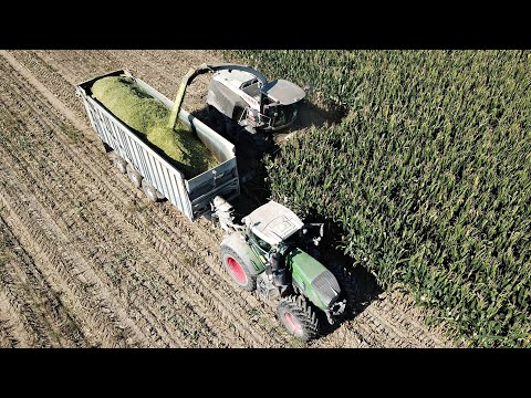 Claas Jaguar 980 Black | Trinciato mais 2020 by drone