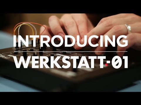 Moog Werkstatt Analog Synthesizer - Video