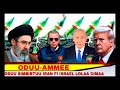 ODUU Ammee 12 March 2026 Jawar Mohammed Ani Ana Media