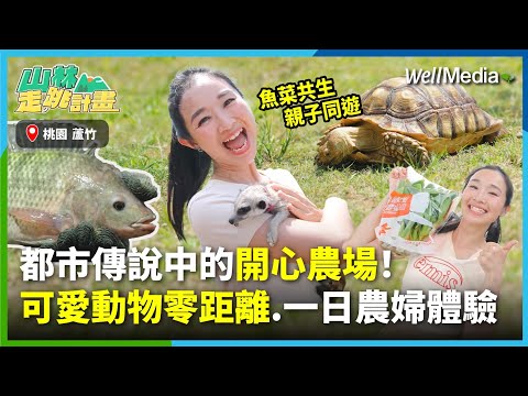 桃園最好玩親子景點!大人小孩的開心農場:魚菜共生鱸魚餵食、水耕種植體驗、可愛動物零距離接觸一次滿足!我們在#双源魚菜蚯共生農場 玩瘋啦【山林走跳計畫】EP5(下集) 