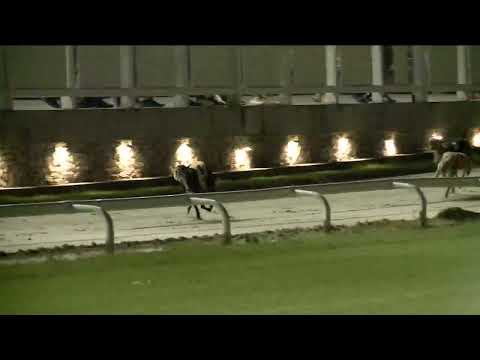 2023.06.16 8. FUTAM - KATEGÓRIA V. FUTAM