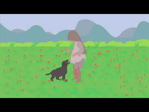 The Girl & Dog