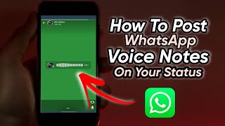How To Post WhatsApp Voice Notes On Status  | How To Post WhatsApp Audio Clips on Status