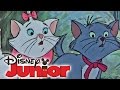 ARISTOCATS Euer Spielfilm Am 16 Juli Auf Disney Junior