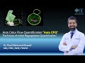 Automated Color Flow Quantification Auto CFQ The Future Of MR Quantification