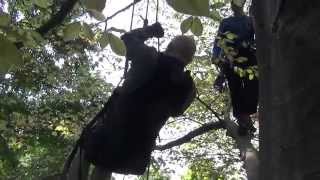 preview picture of video 'Grimpe d'arbre dans une sellette adaptée à une personne handicapée, à Voreppe'