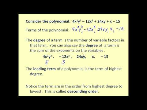 Introduction to Polynomials