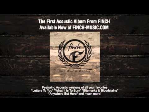 Video thumbnail for Fireflies (Acoustic)