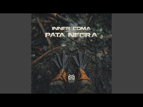 Pata Negra