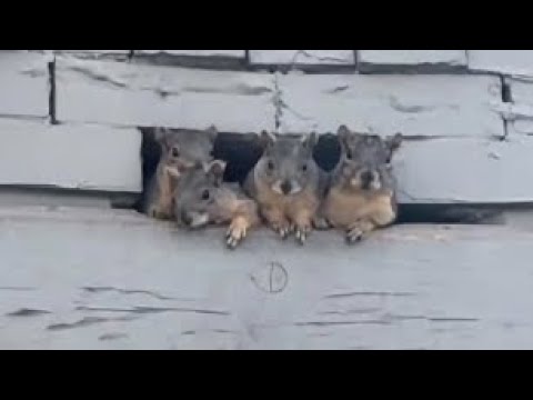 FAMILY MOMENTS That Are TOO FUNNY