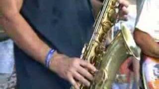 The Lively Ones  Sleep Walk