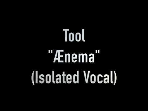 Ænema (Isolated Vocal Only Acapella) by Tool ft. Maynard James Keenan - Alternative/Progressive/Rock
