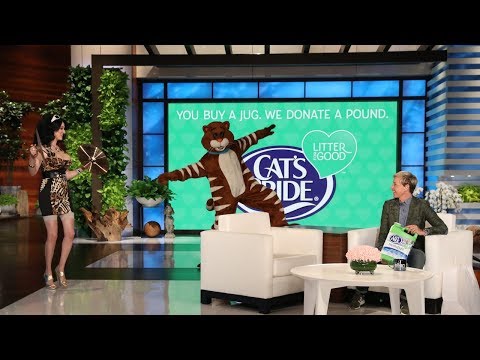 Ellen Reveals the Scariest Cat Ever for Cat Week