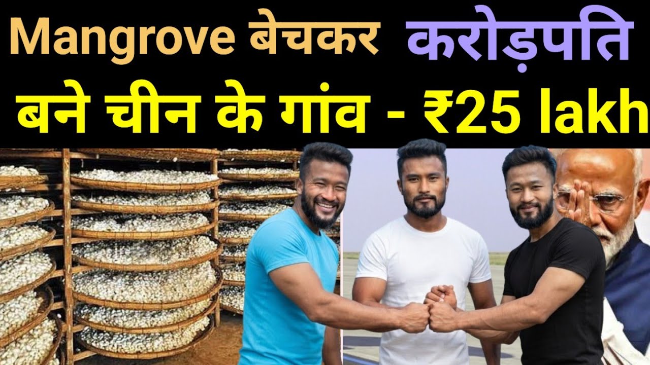 ₹25 Lakh/Month — This Chinese Village Sells Mangrove Plastic Silk To Europe 🔥 Tantou #business