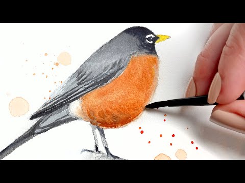 Watercolor Backyard Birds Robin Easy Painting Tutorial