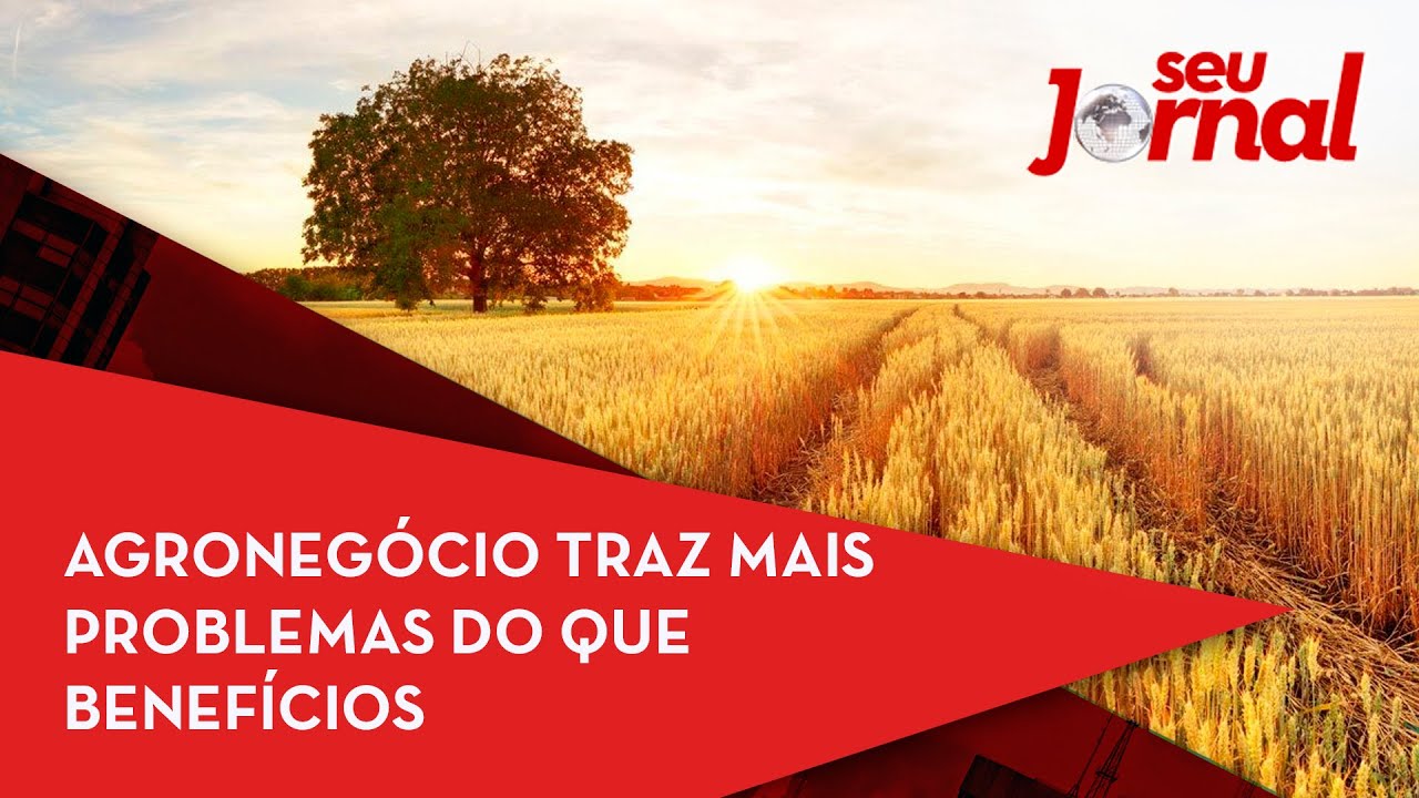Agronegócio traz mais problemas do que benefícios