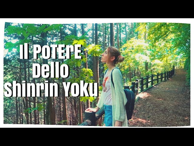 Video Pronunciation of Tomin in English Video Pronunciation of Tomin in English