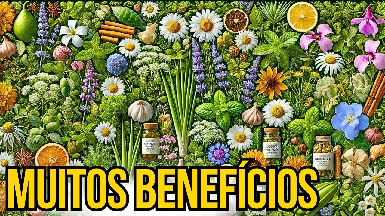 PLANTAS MILAGROSAS QUE VÃO CURAR TODAS AS DOENÇAS DO SEU CÃO!