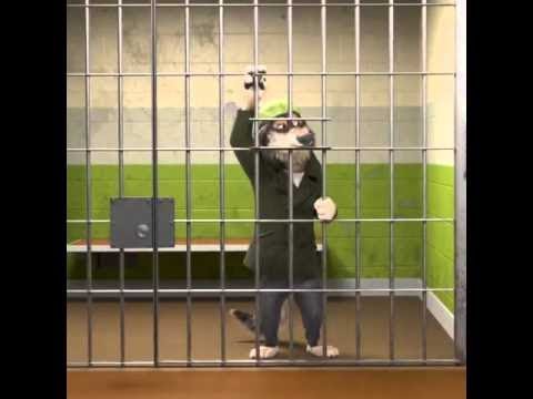 Giant Bomb - Fighting Wolves and escaping prison